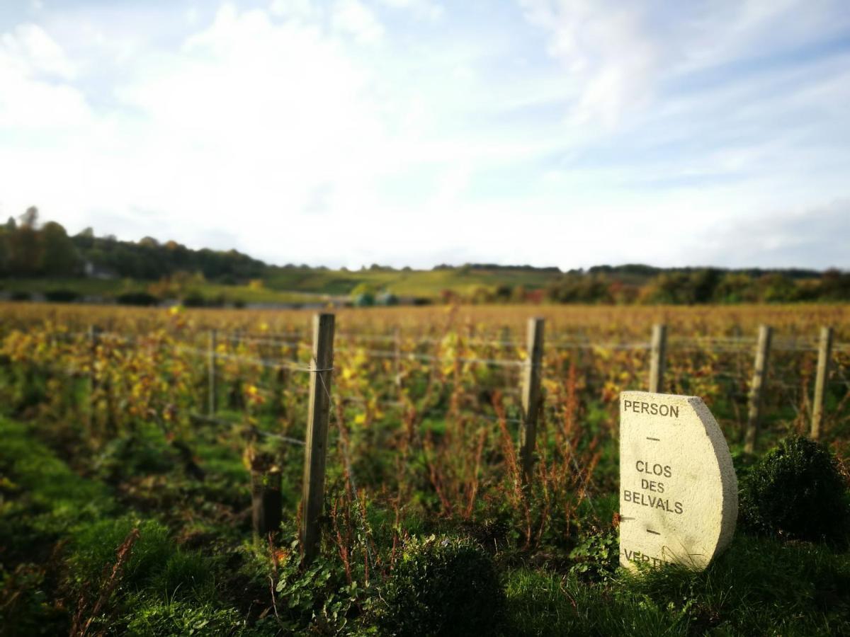 Le Clos Des Belvals 韦尔蒂 外观 照片